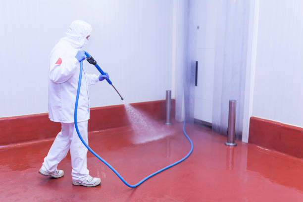 Best Building Exterior Washing  in Lake Park, FL
